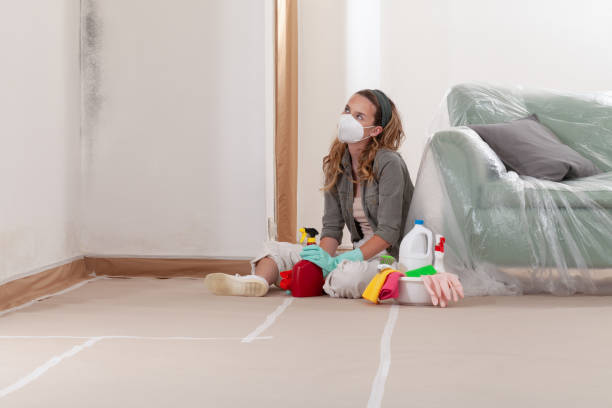 Reliable Mold Removal contractor in Wylie, TX by 24 Hour Mold Removal